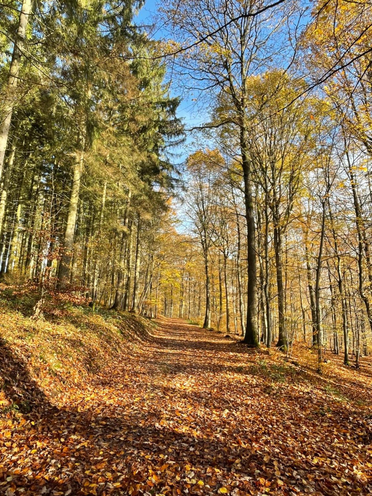 Gaestehaus Ute Mueller Wimbach Buitenkant foto
